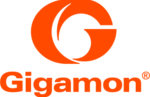 Gigamon
